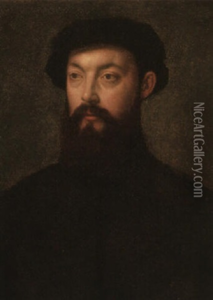 Portrait Of A Bearded Gentleman Oil Painting - Francois Clouet