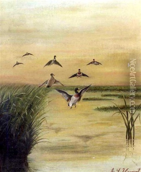Flock Of Ducks In Flight Over A Louisiana Bayou Oil Painting - George Louis Viavant