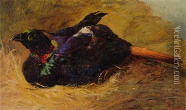 Vogel Oil Painting - Gustav Ranzoni