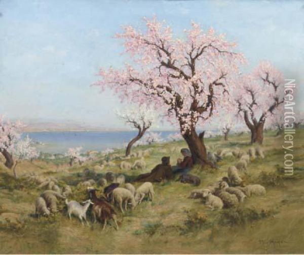 Cherry Blossom In The Meadow Oil Painting - Theophile Mayan