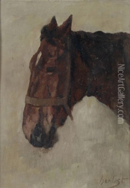 Kopf Eines Pferdes, Ruhend Oil Painting - Thomas Herbst