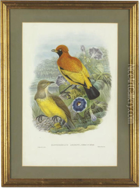 Birds Of Paradise: Five Prints Oil Painting - William M. Hart