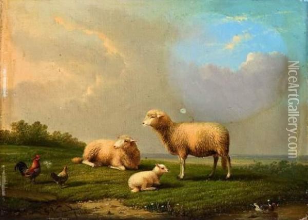 Les Moutons Oil Painting - Franz van Severdonck
