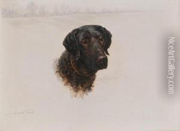 Curly Coated Retriever Oil Painting - Maud Earl