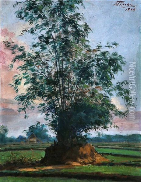Bamboo In The Fields Oil Painting - Jorge Pineda