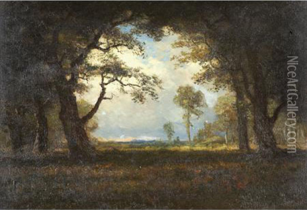 Wooded Landscape With Clearing Oil Painting - Albert Bierstadt