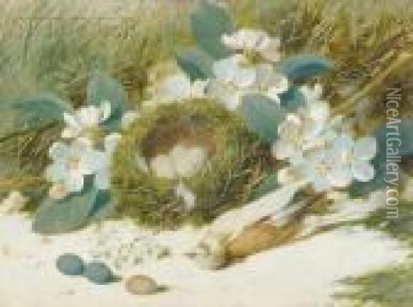 Still Life With Bird And Nest Oil Painting - William Cruickshank