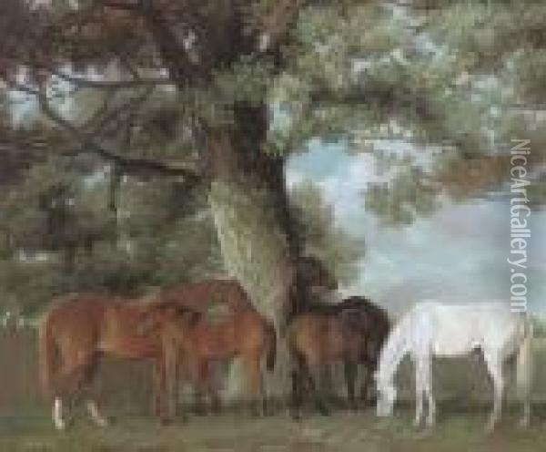 Mares And Foals Beneath A Large Oak Tree Oil Painting - George Stubbs