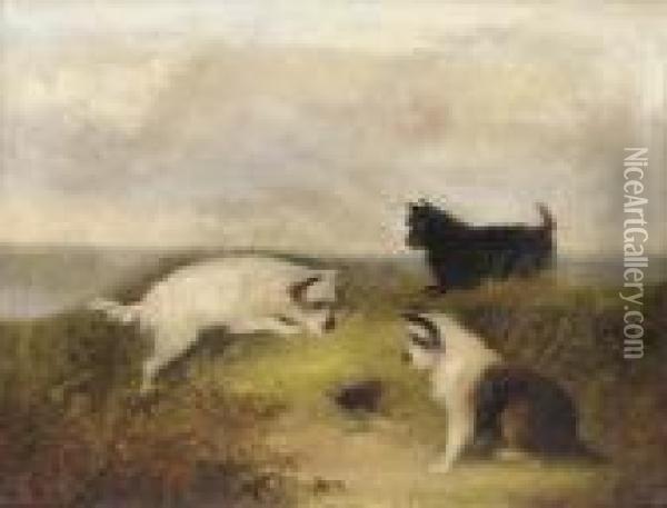 Terriers Ratting Oil Painting - J. Langlois