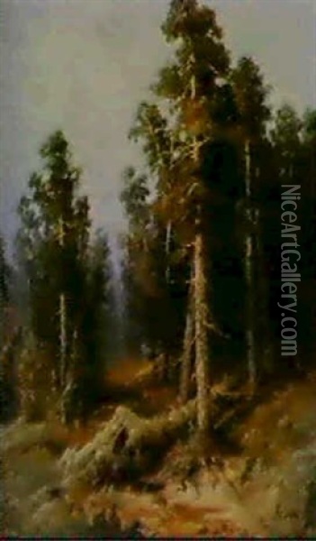 Forest Grove Oil Painting - Aleksandr Petrovich Apsit