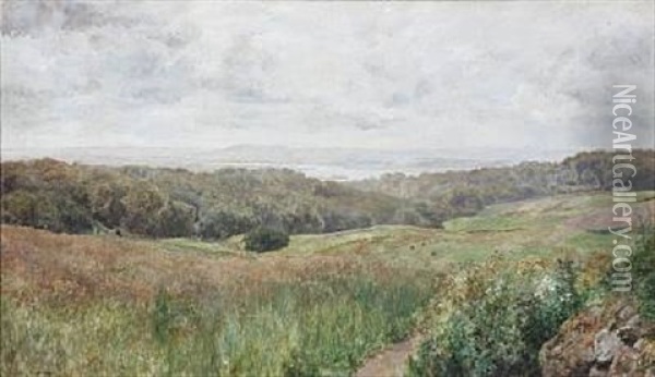 Summer Landscape From Stovring, Denmark Oil Painting - Janus la Cour