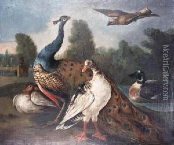 A Peacock, Duck, And A Jay In An Ornamental Garden Oil Painting - Marmaduke Cradock