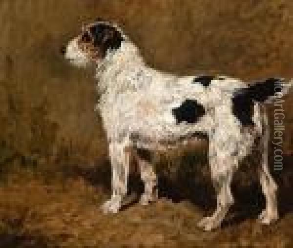 A Wire-haired Fox Terrier Oil Painting - John Emms
