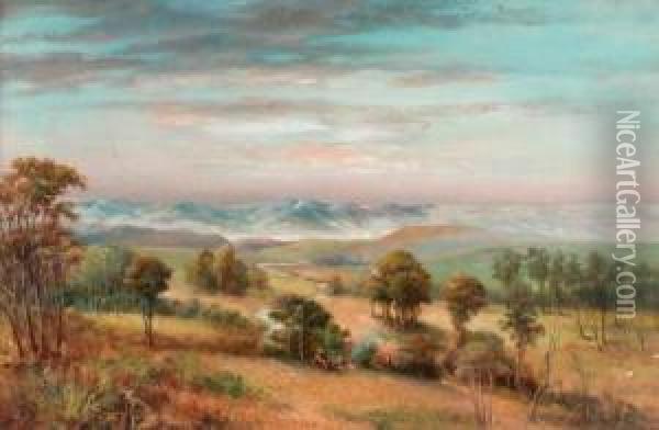 landscape, Gippsland Oil Painting - Peter Power