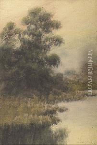 Louisiana Cypress Swamp Oil Painting - Alexander John Drysdale