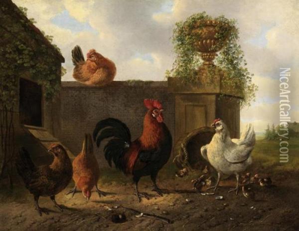 Poultry In The Courtyard Oil Painting - Albertus Verhoesen