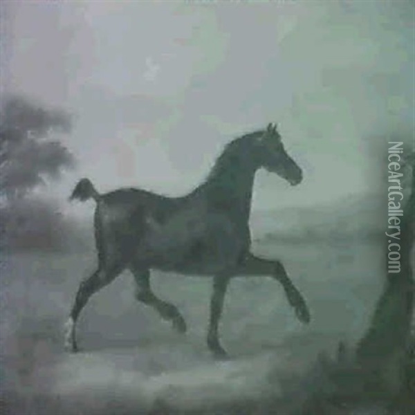 Minerva, The Wonderful Trotting Horse In A Landscape Oil Painting - John Nost Sartorius