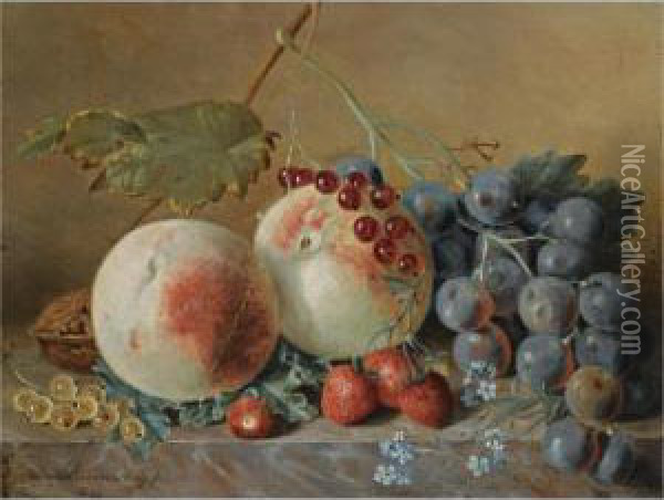 A Still Life With Grapes And Peaches Oil Painting - Adriana Van Ravenswaay