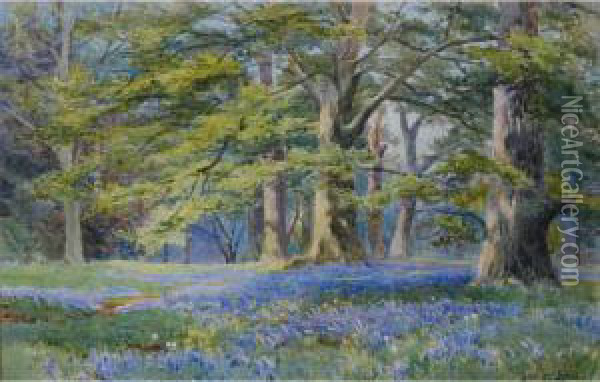 The Bluebell Wood Oil Painting - Albert Stevens
