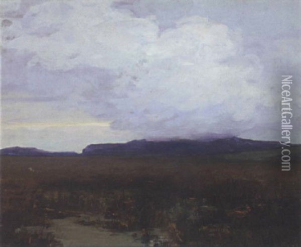 Clouds Over  Bogland Oil Painting - Hans (Jean) Iten
