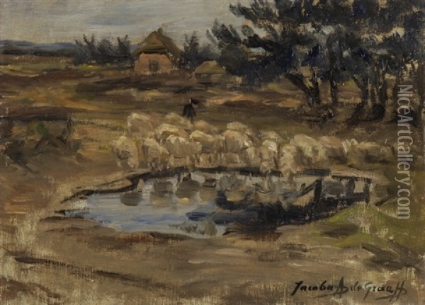 Landschaft Mit Schafen An Einem Tumpel Oil Painting - Jacoba De Graaff