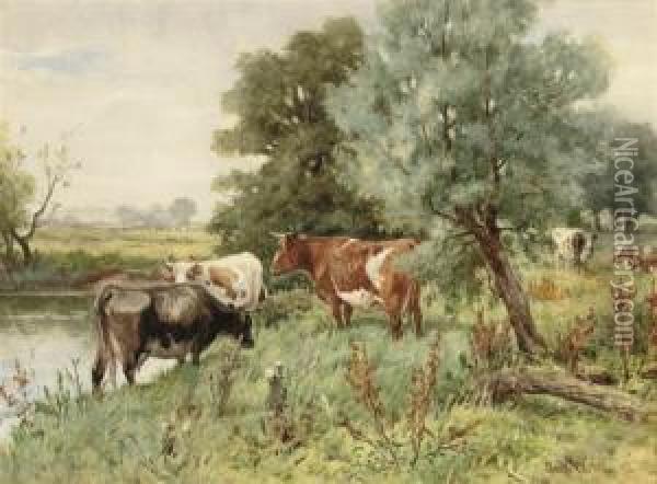 Cows Grazing By A River Bank Oil Painting - Claude Cardon