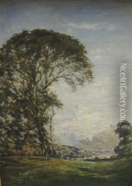 A Landscape With Trees Oil Painting - William Kneen