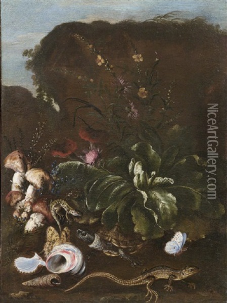 Sous-bois-stillleben Mit Einer Distel Und Weiteren Blumen, Pilzen, Reptilien, Schmetterlingen Und Muscheln Oil Painting - Otto Marseus van Schrieck