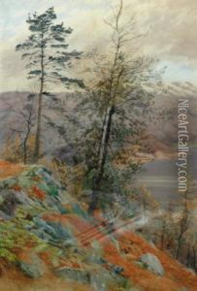 Looking Towards Loch Lomond Oil Painting - Hamilton Maxwell