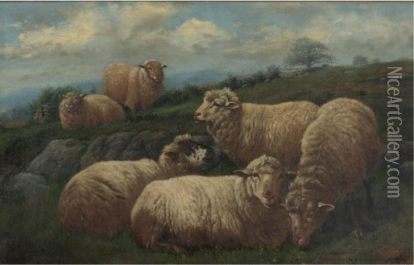 Sheep In A Pasture Oil Painting - Arthur Fitzwilliam Tait