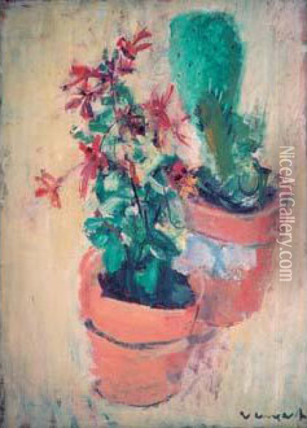 Fleurs Et Cactus Oil Painting - Joachim Weingart