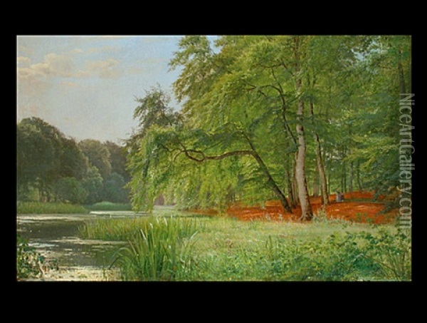 Waldlandschaft Mit Gewasser Und Schilf Im Sommer Oil Painting - Anders Andersen-Lundby