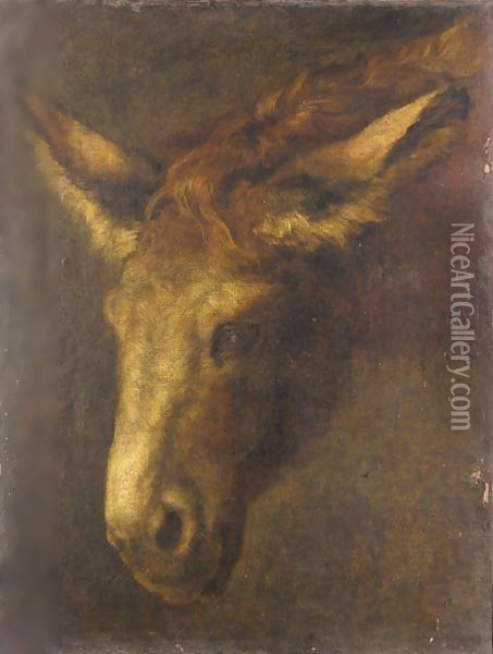 A Study Of The Head Of A Donkey Oil Painting - Peeter Boel