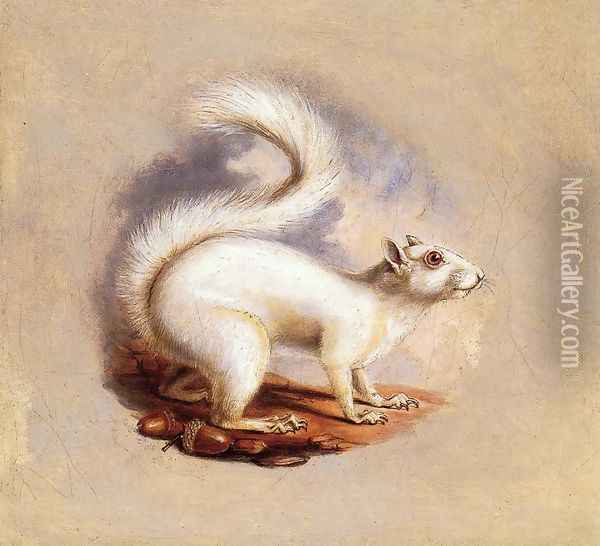 White Squirrel Oil Painting - Titian Ramsay Peale