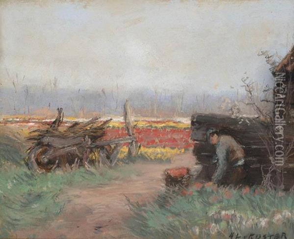 Field Of Flower Bulbs Oil Painting - Anton Lodewijk Koster