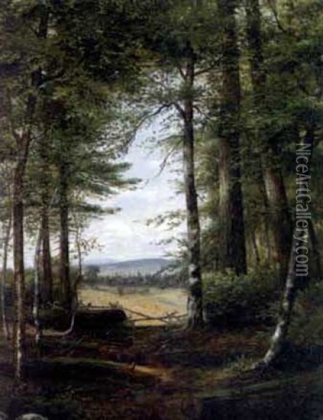 Forest Landscape Clearing Oil Painting - Jonathan Bradley Morse
