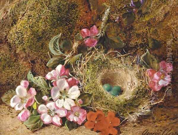 Primulas and a bird's nest with eggs on a mossy bank Oil Painting - George Clare