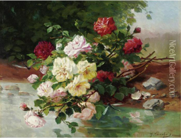 Flowers By A Stream Oil Painting - Eugene Henri Cauchois