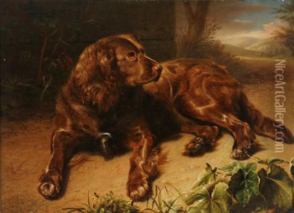 Brown Spaniel Resting On A Woodland Floor Oil Painting - Jeremiah Pearson Hardy