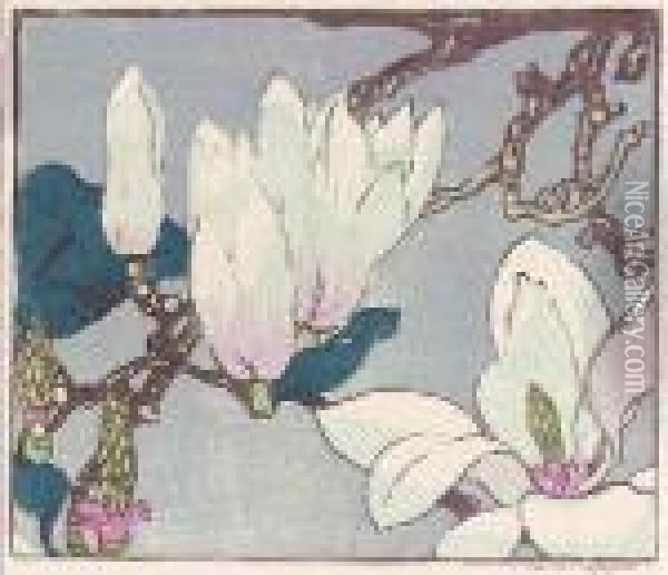 Magnolia (#) Lords And Ladies 
(#) Dandelions (#) Dead Tulips (#) Water Lilies (#) Cyclamen Oil Painting - Mabel A. Royds