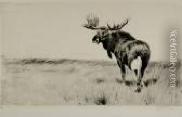 Moose Oil Painting - Wilhelm Kuhnert