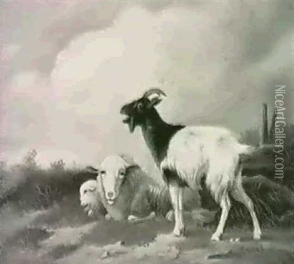 Schafe Und Ziege Auf Der Wiese Oil Painting - Otto Keitel
