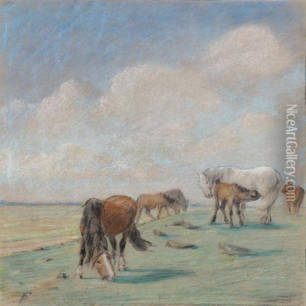 Horses In The Field Oil Painting - Theodor Philipsen