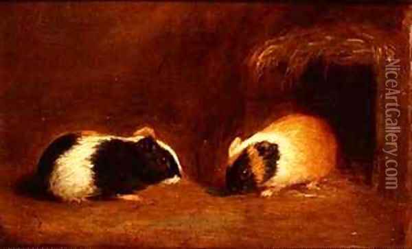 A Pair of Guinea Pigs Oil Painting - Edmund Bristow