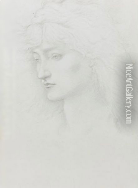 Head Study From The Perseus Series Oil Painting - Sir Edward Coley Burne-Jones