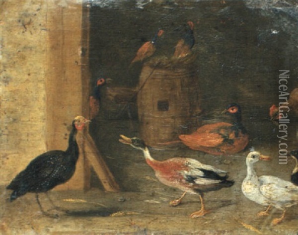 A Turkey, Ducks And Pheasants In A Barn Oil Painting - Jan van Kessel the Younger