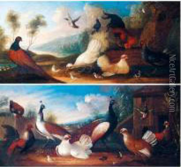 Assemblies Of Fowl Oil Painting - Marmaduke Cradock