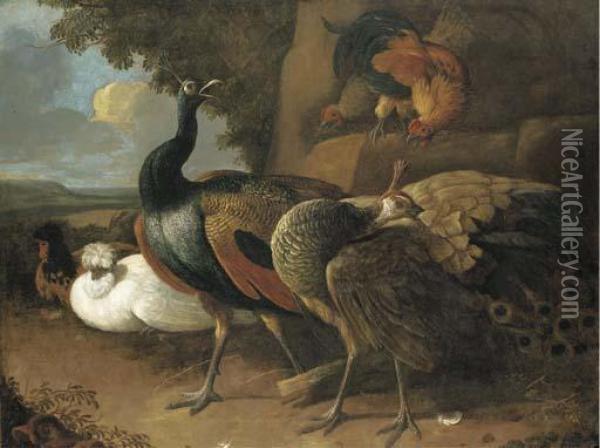 A Peacock, A Peahen, Poultry And Other Birds In A Rocky Landscape Oil Painting - Melchior de Hondecoeter