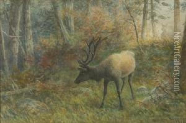 Elk In The Woods Oil Painting - Frederick Arthur Verner