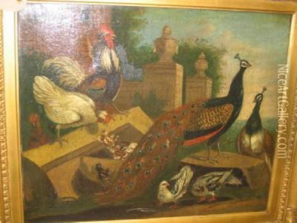 Peacock And Other Fowl In A Garden Oil Painting - Melchior de Hondecoeter